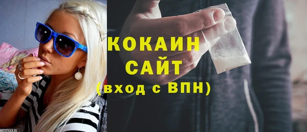 крисы Бородино