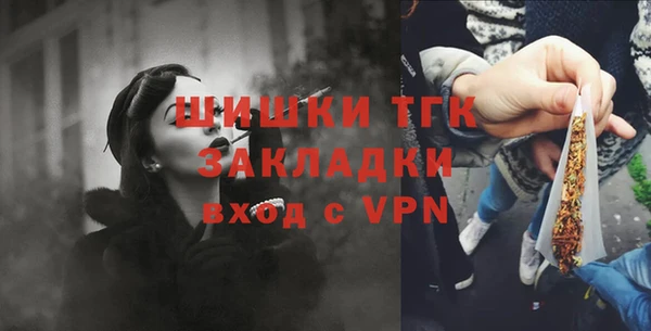 mdpv Богородицк
