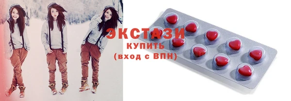 крисы Бородино