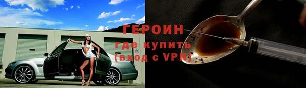крисы Бородино