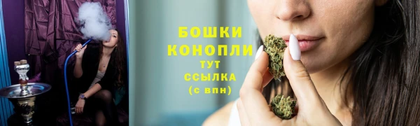 mdpv Богородицк